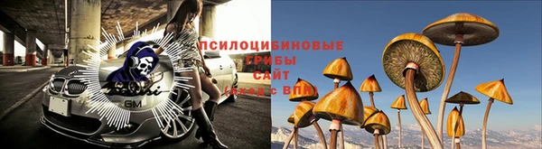 твердый Володарск