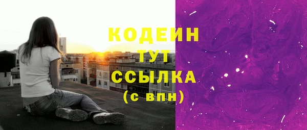 СК Бородино