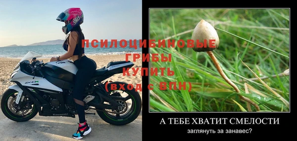 твердый Володарск