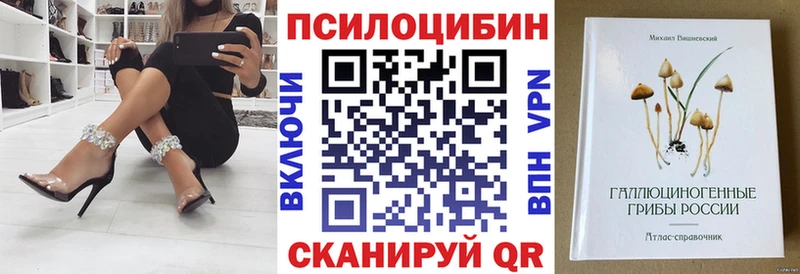 Псилоцибиновые грибы GOLDEN TEACHER  Камызяк 